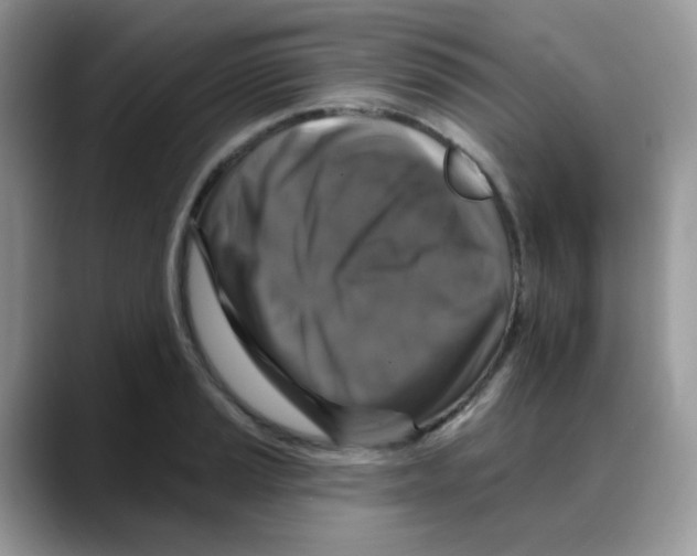 X0000088141037200706111422