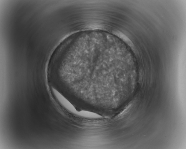 X0000088141039200706111422