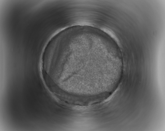 X0000088141040200706111422