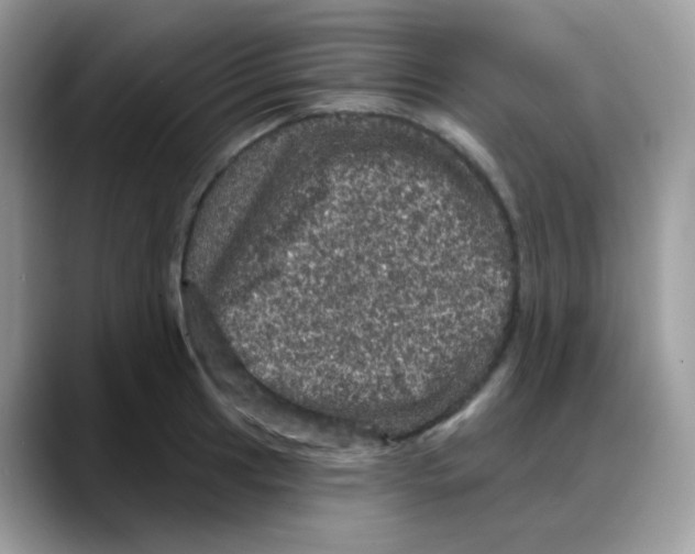 X0000088141041200706111422