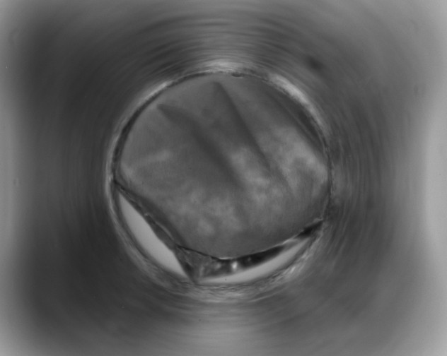 X0000088141042200706111422