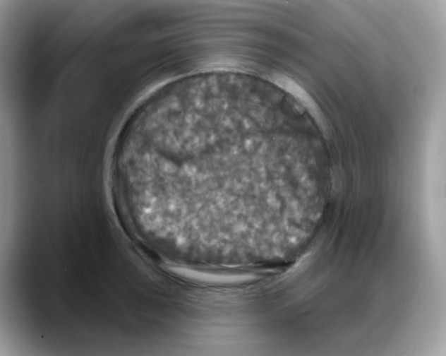 X0000088141043200706111422