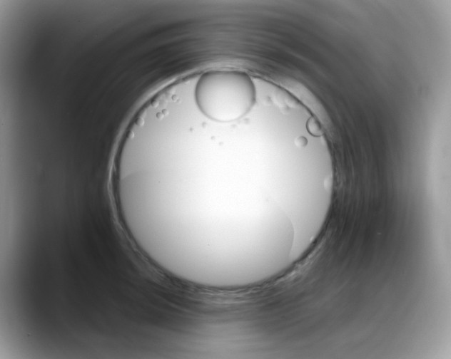 X0000088141044200706111422