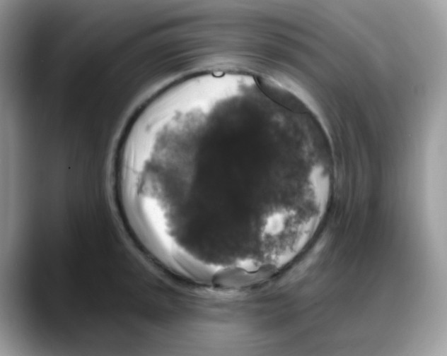 X0000088141045200706111422