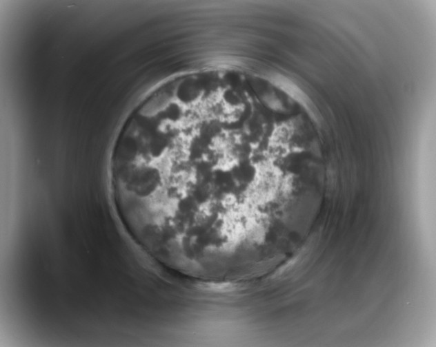 X0000088141047200706111422