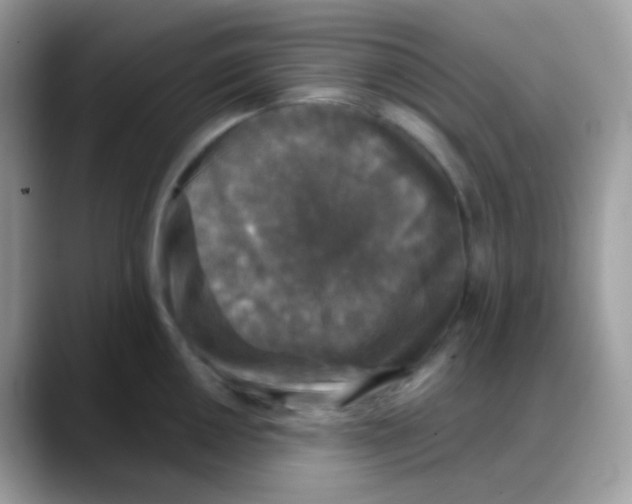 X0000088141050200706111422