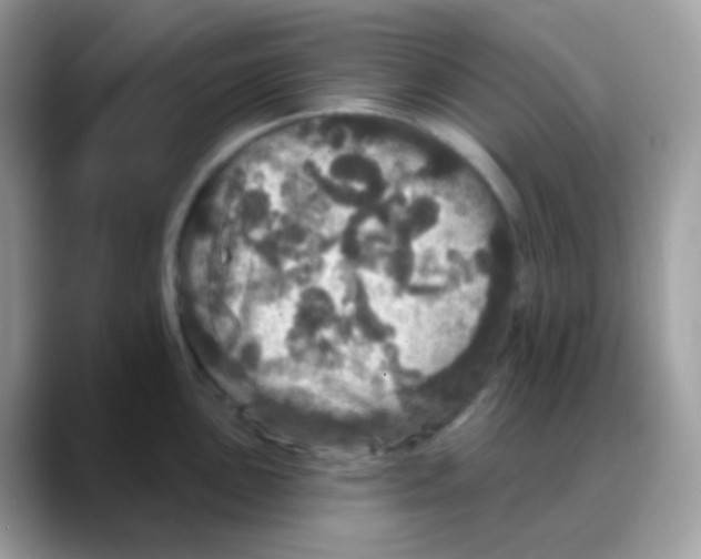 X0000088141051200706111422