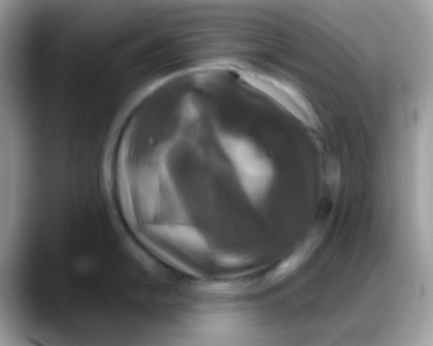 X0000088141054200706111422