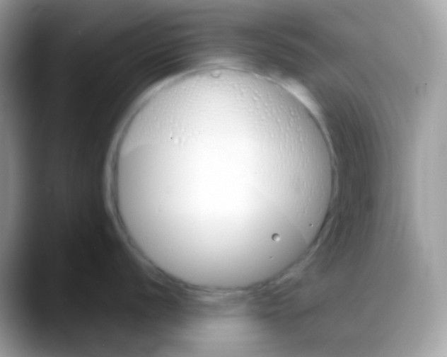 X0000088141056200706111422