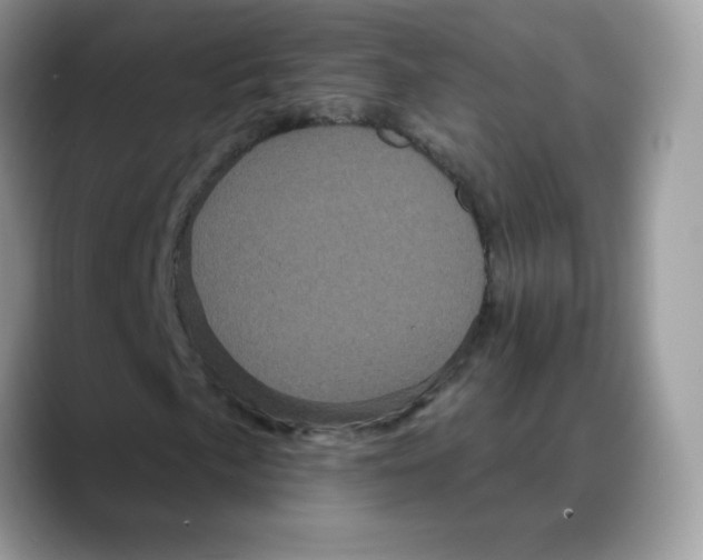 X0000088141057200706111421