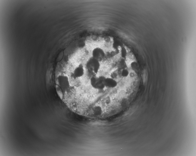 X0000088141059200706111421