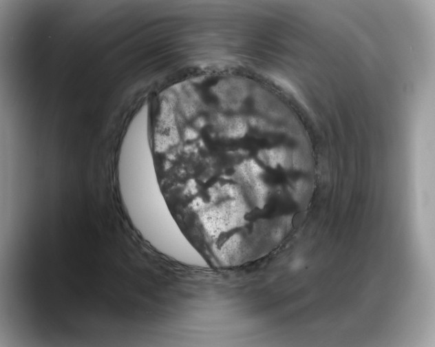 X0000088141063200706111421