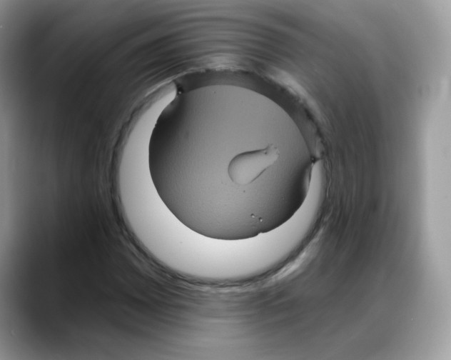 X0000088141065200706111421