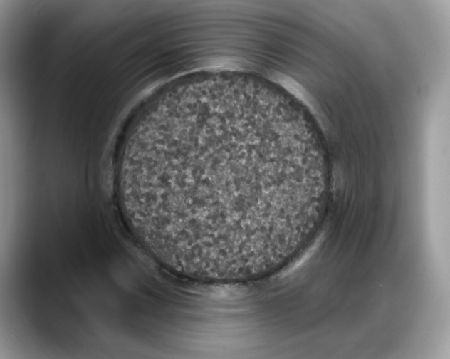 X0000088141067200706111421