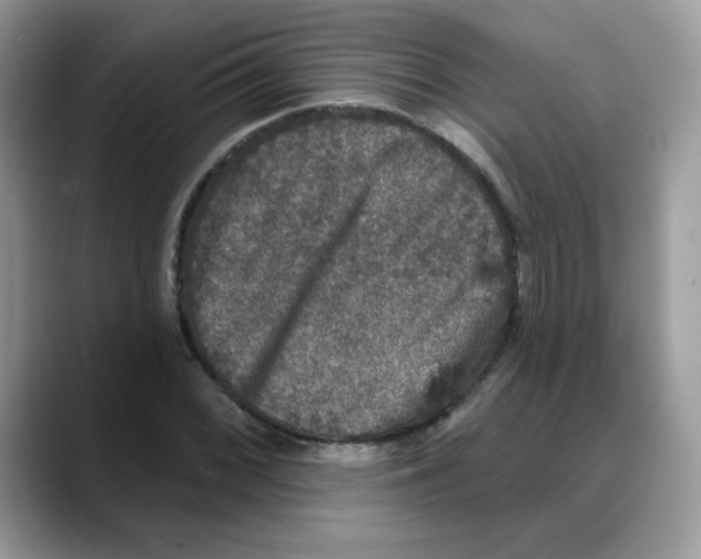 X0000088141068200706111421