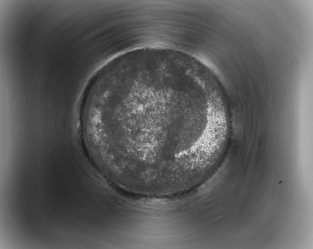 X0000088141070200706111421