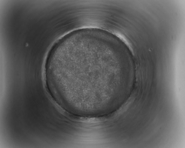 X0000088141072200706111421