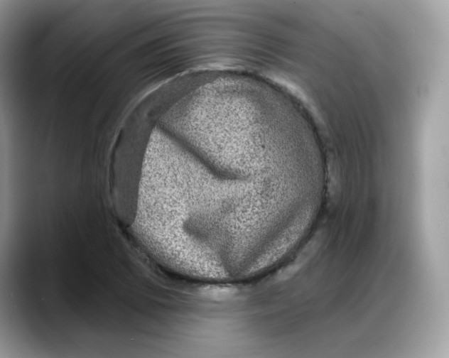 X0000088141073200706111421