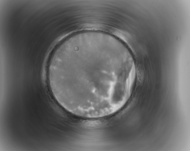 X0000088141074200706111421