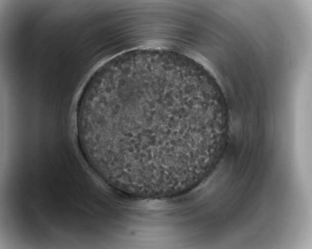 X0000088141075200706111421