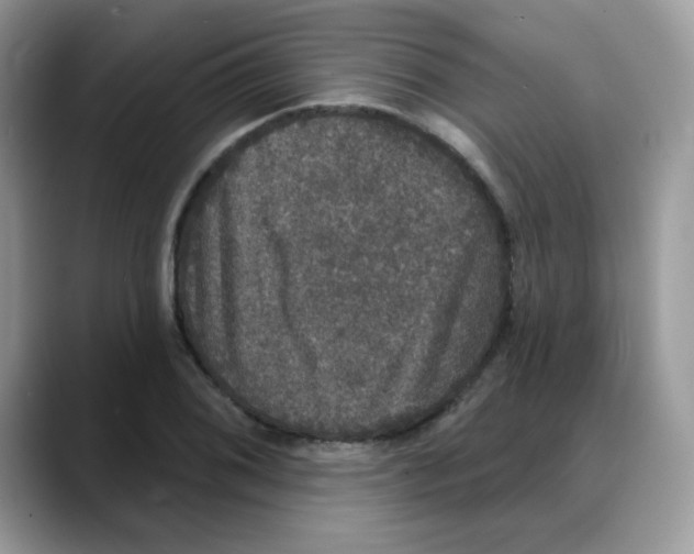 X0000088141076200706111421