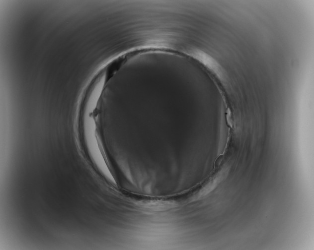 X0000088141077200706111421