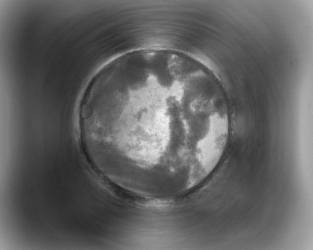 X0000088141078200706111421