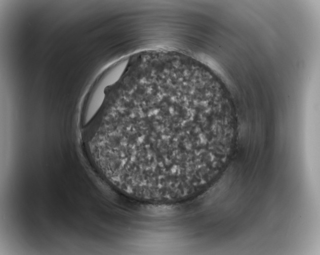 X0000088141079200706111421