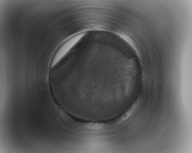 X0000088141081200706111421