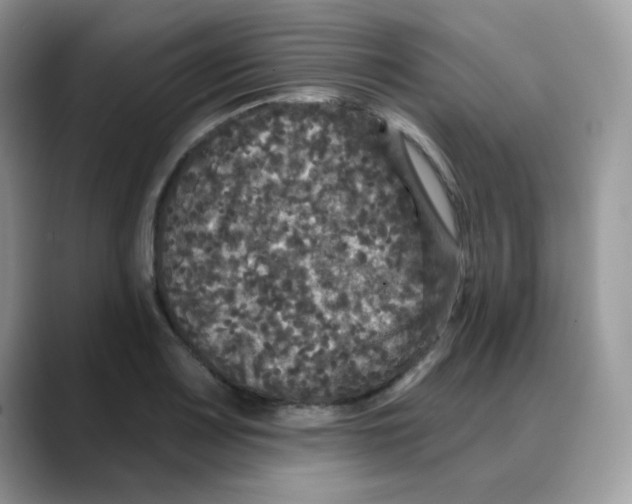 X0000088141083200706111421