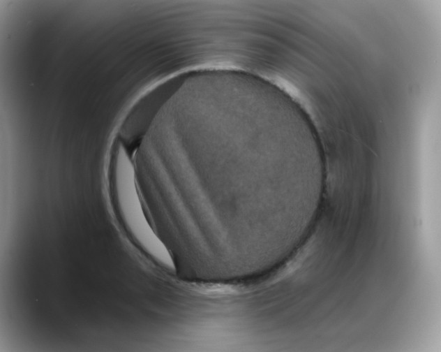 X0000088141085200706111421