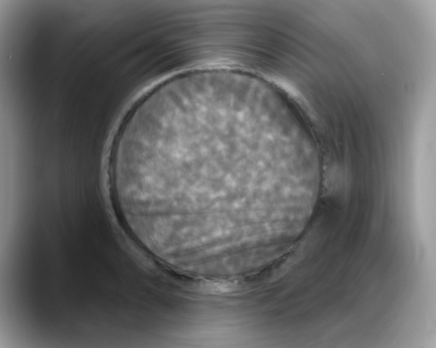 X0000088141086200706111421