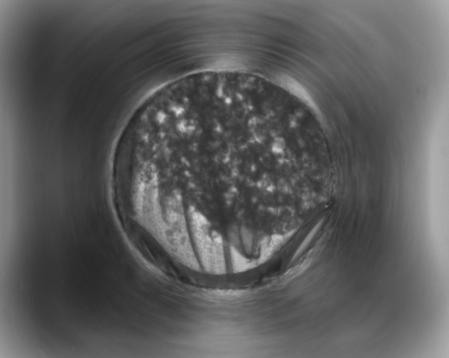 X0000088141087200706111421