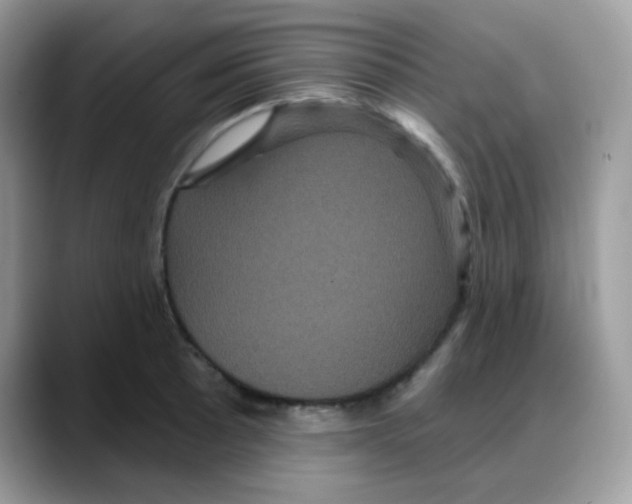 X0000088141089200706111421