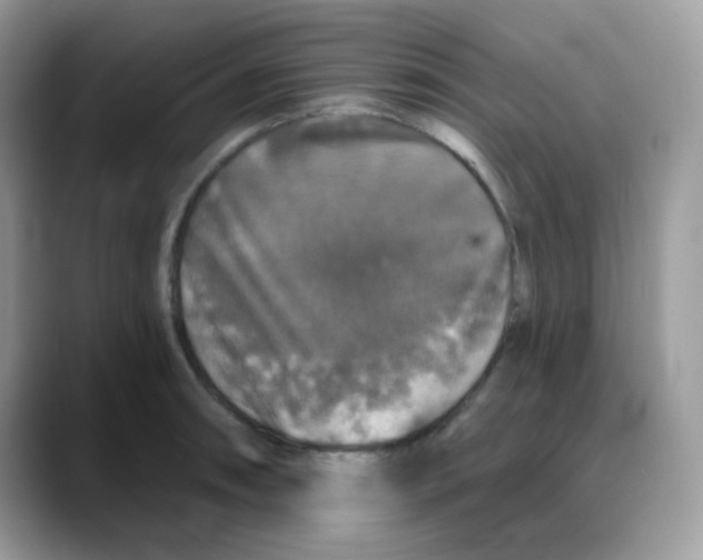 X0000088141090200706111421