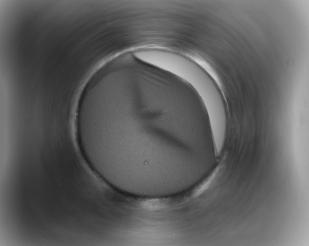 X0000088141093200706111421