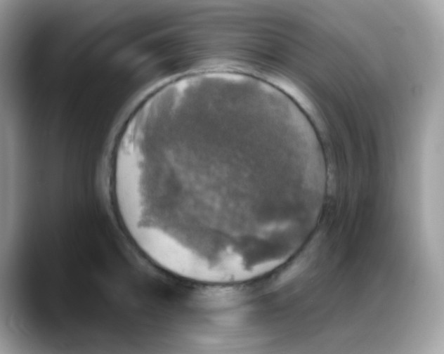 X0000088141094200706111421