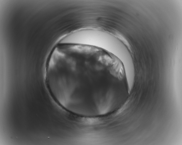 X0000088141095200706111421