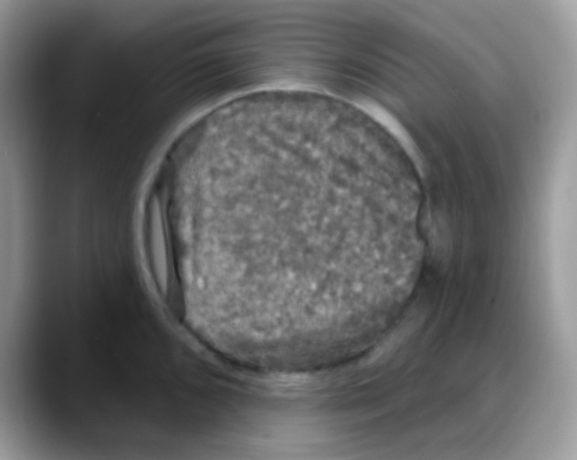 X0000088141096200706111421