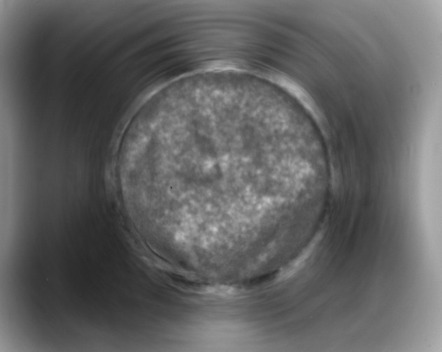 X0000088141097200706111421