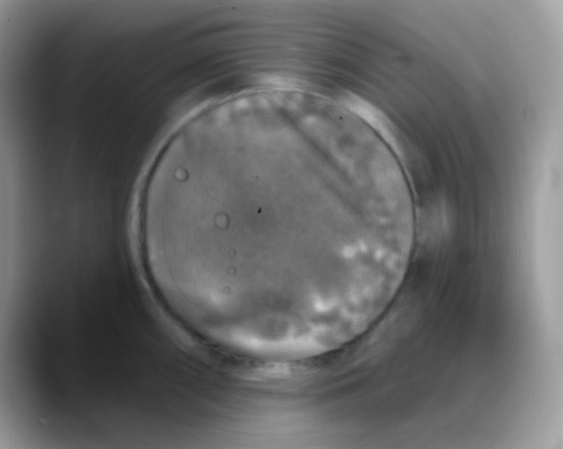 X0000088141098200706111421