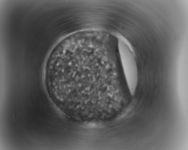 X0000088141099200706111421