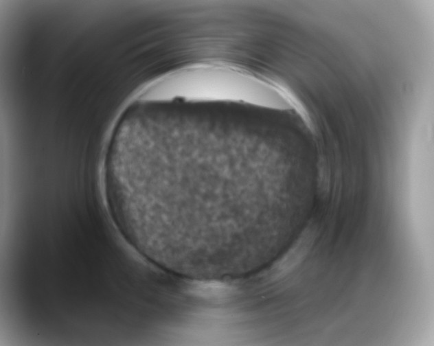 X0000088141100200706111421