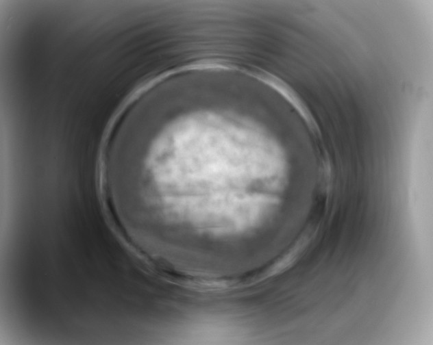 X0000088141101200706111421