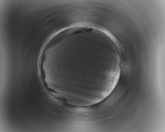 X0000088141102200706111421