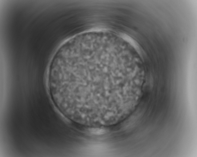 X0000088141103200706111421