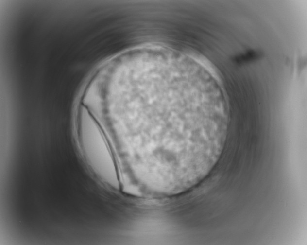 X0000088141104200706111421