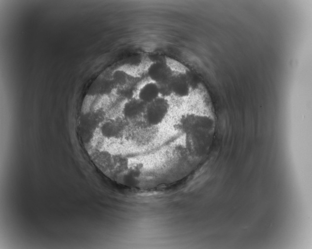 X0000088141105200706111420