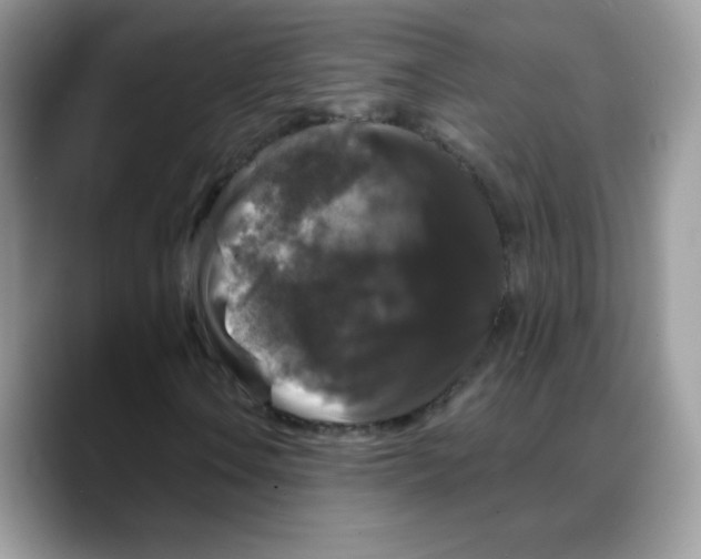 X0000088141106200706111420