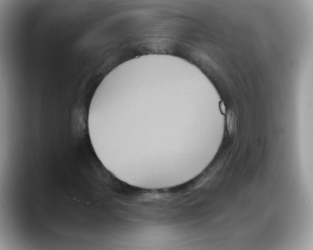 X0000088141107200706111420